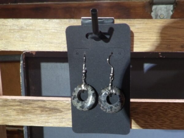 Earring (fishhook1)