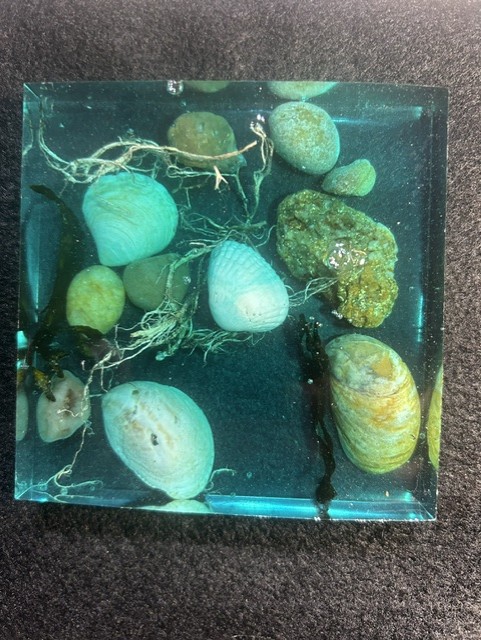 Shells and rocks embedded in blue resin.