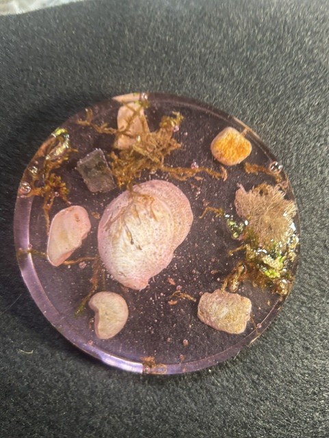 Resin disc with embedded natural elements.