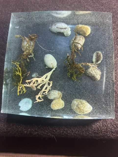 Beachscape6