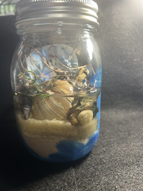 Seashells and sand in a jar.