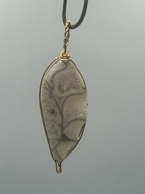 Fossilized Coral Pendant